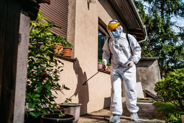Best Emergency Pest Control  in Creola, AL