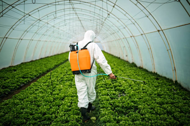 Best Commercial Pest Control Services  in Creola, AL