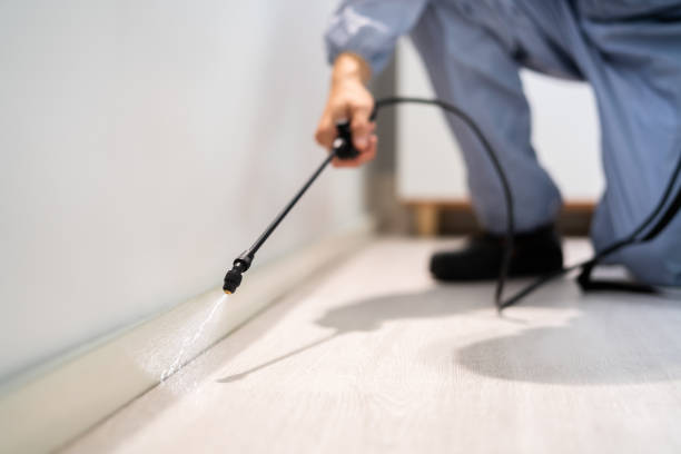 Best Flea Control Services  in Creola, AL