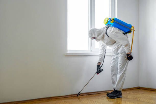 Best Insect Control  in Creola, AL