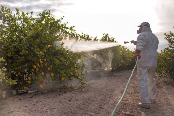 Best Mosquito Control Services  in Creola, AL