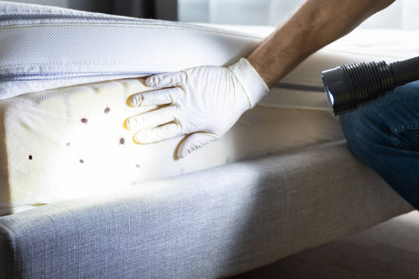 Best Exterminator Services  in Creola, AL