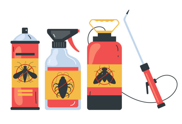 Trusted Creola, AL Pest Control Experts