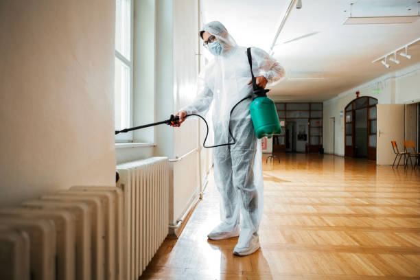 Best Ant Control Services  in Creola, AL