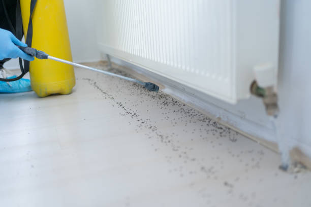 Best Pest Removal Services  in Creola, AL